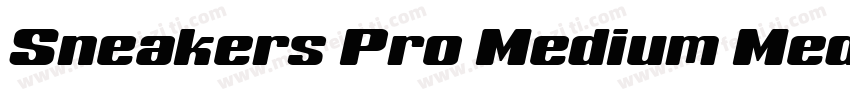 Sneakers Pro Medium Medium字体转换